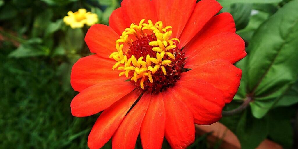 ¿Cómo Hacer un Negocio de Plantas? Una Guía para Hacer Florecer tu Emprendimiento